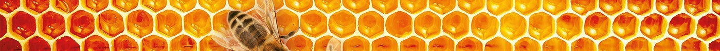 HoningZalf, een wonderlijk product