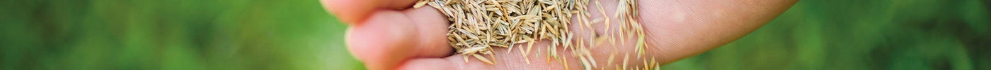 Zaai tips voor de paardenweide