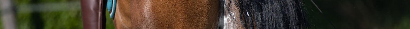 Elektrolyten of keukenzout voor je paard?
