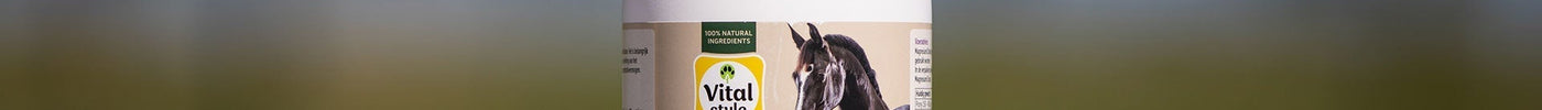 Het belang van magnesiumcitraat bij paarden
