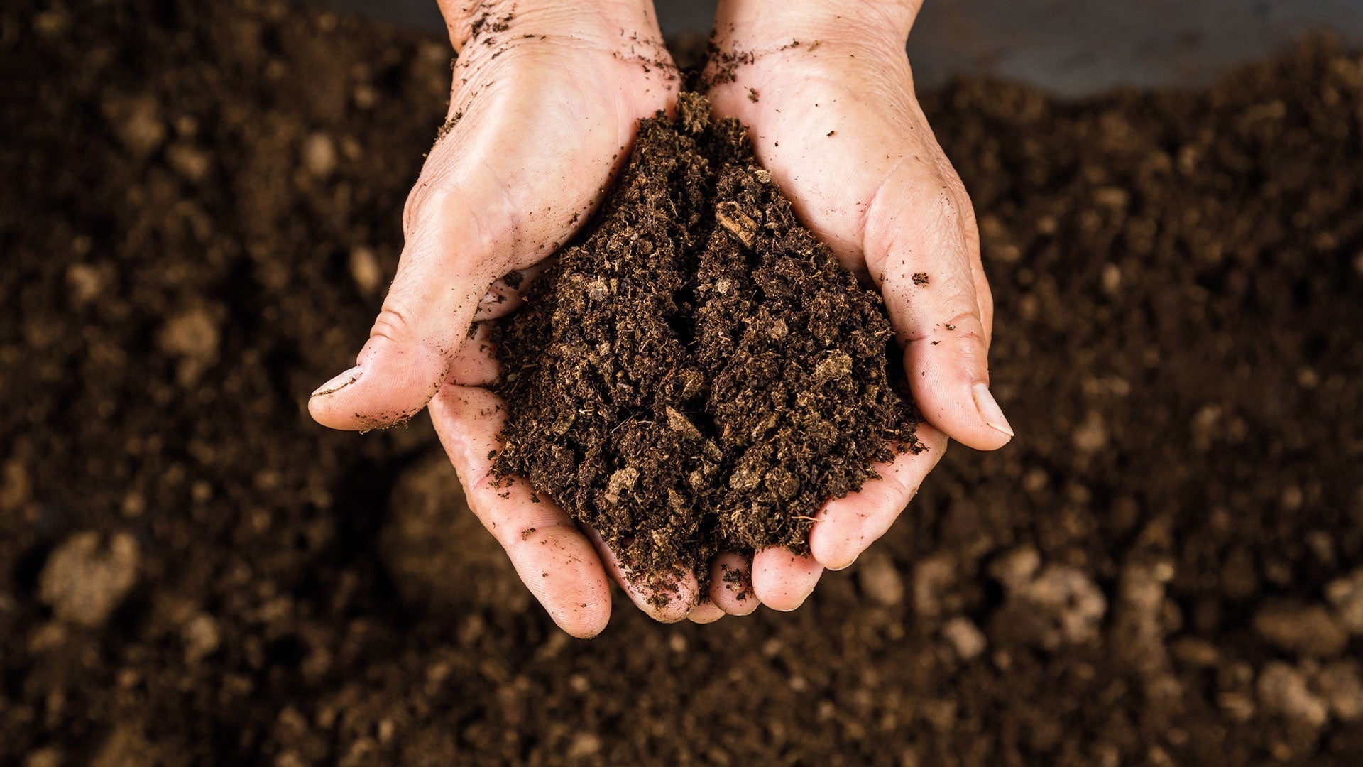 Regels voor bemesten met compost