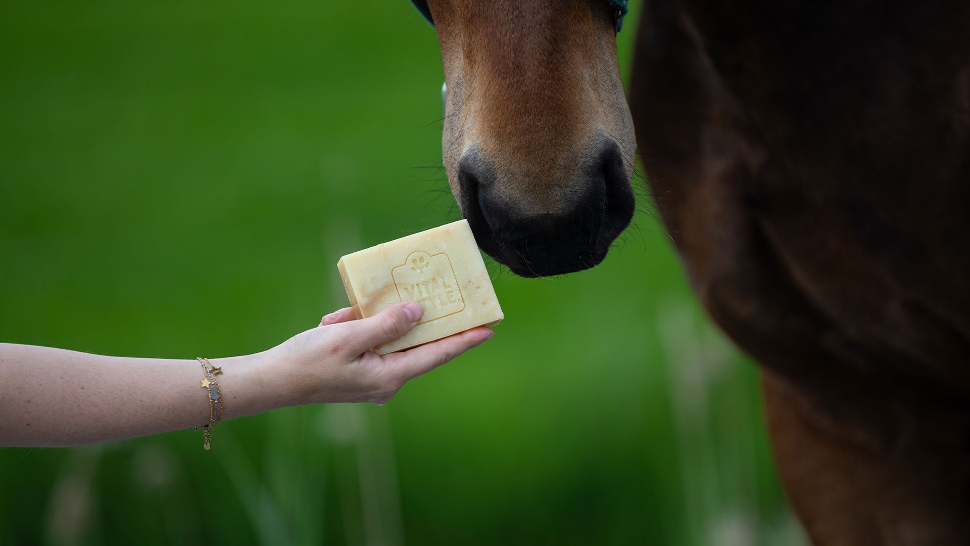 Waarom onze shampoobars geen sulfaten en siliconen bevatten