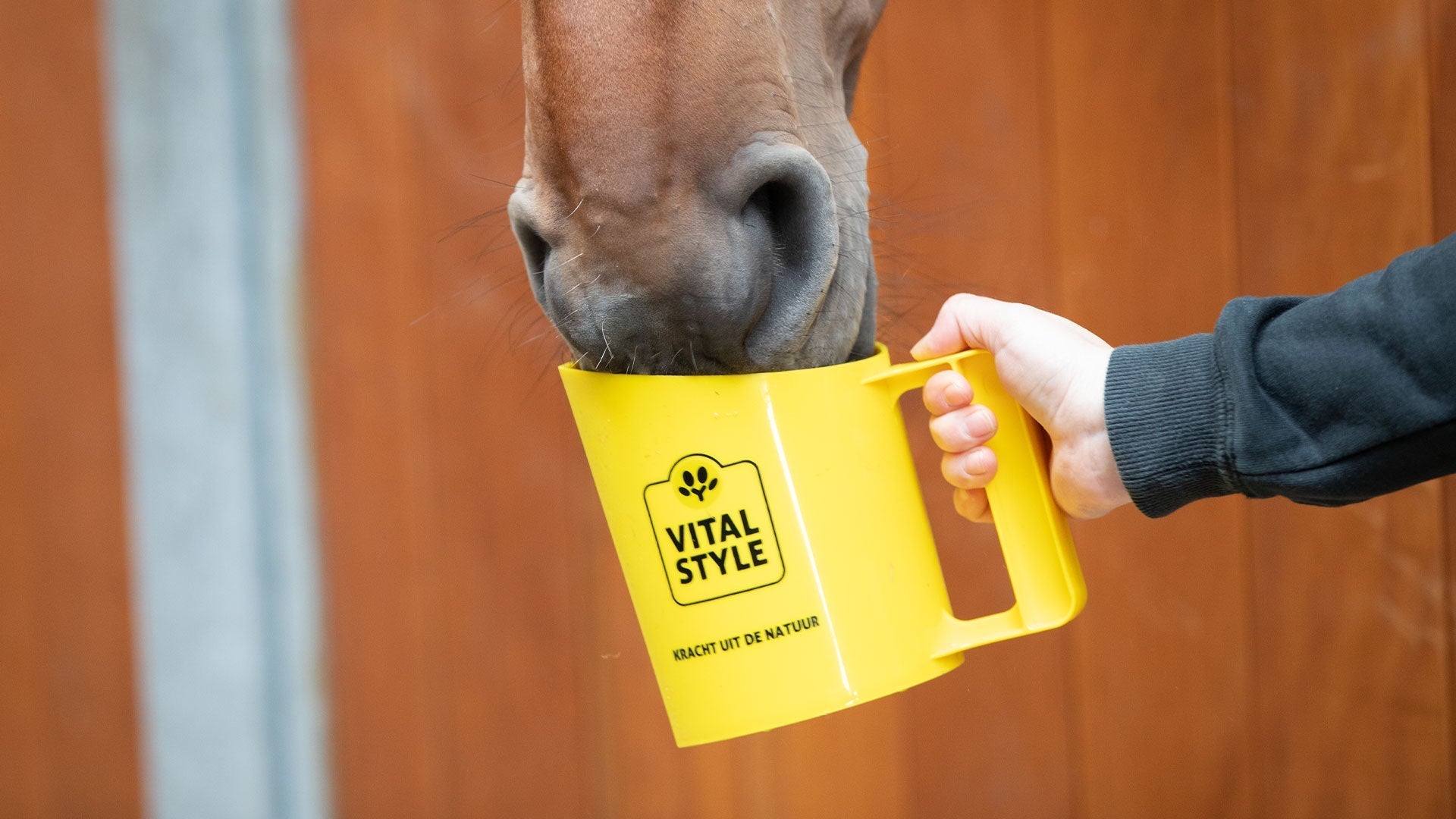 Suikervrij paardenvoer, kan dat?