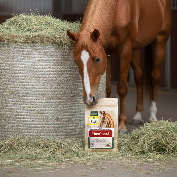 HayGuard