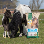Muesli Young & Breed