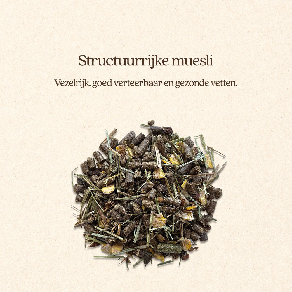 Muesli Calm & Steady