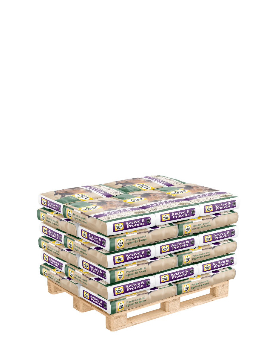 Pallet Muesli Active & Protein