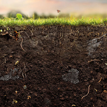 Pallet PastureFertilizer