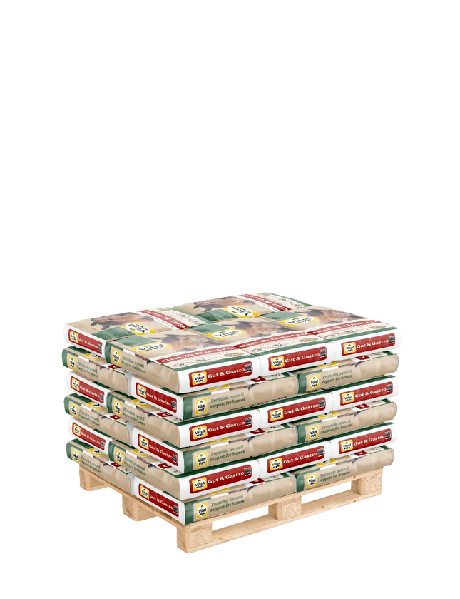 Pallet Muesli Gut & Gastro