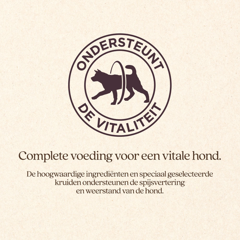 Hond Adult met Kip Natvoer Blik