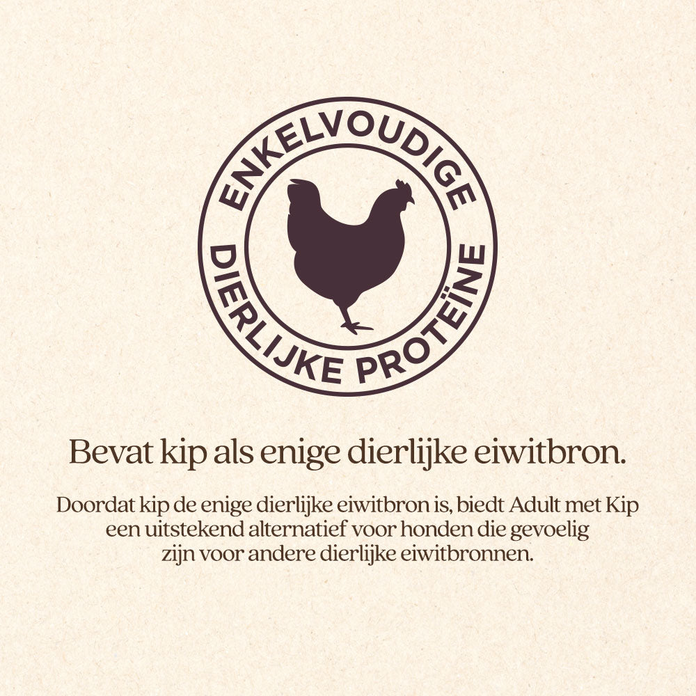 Hond Adult met Kip Natvoer Blik