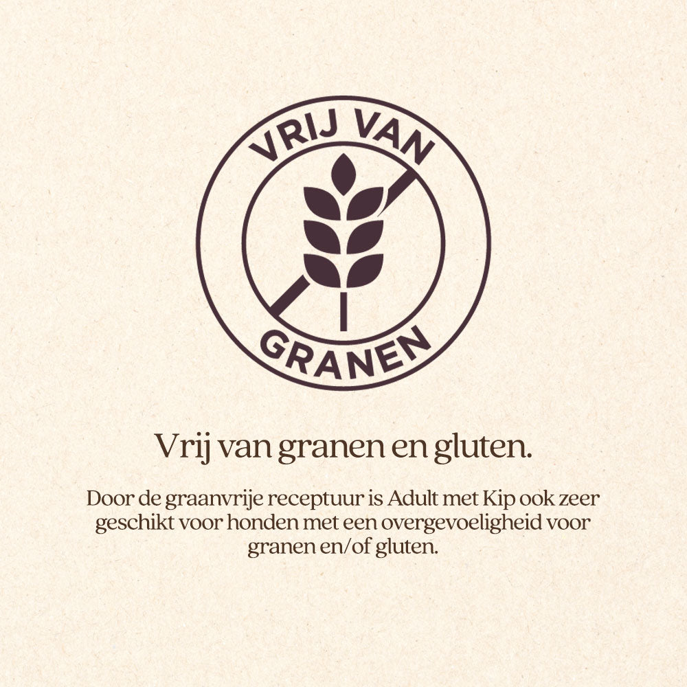 Hond Adult met Kip Natvoer Blik