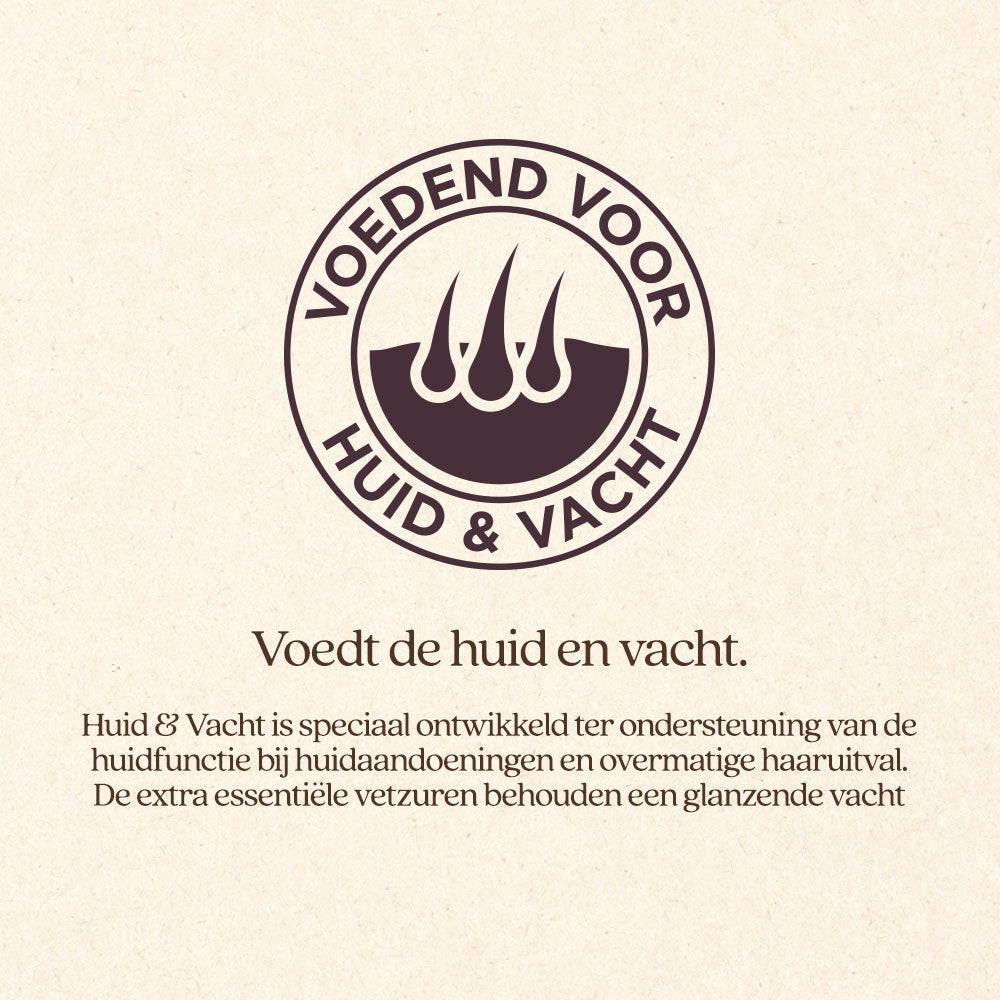 Hond Huid & Vacht Natvoer Blik