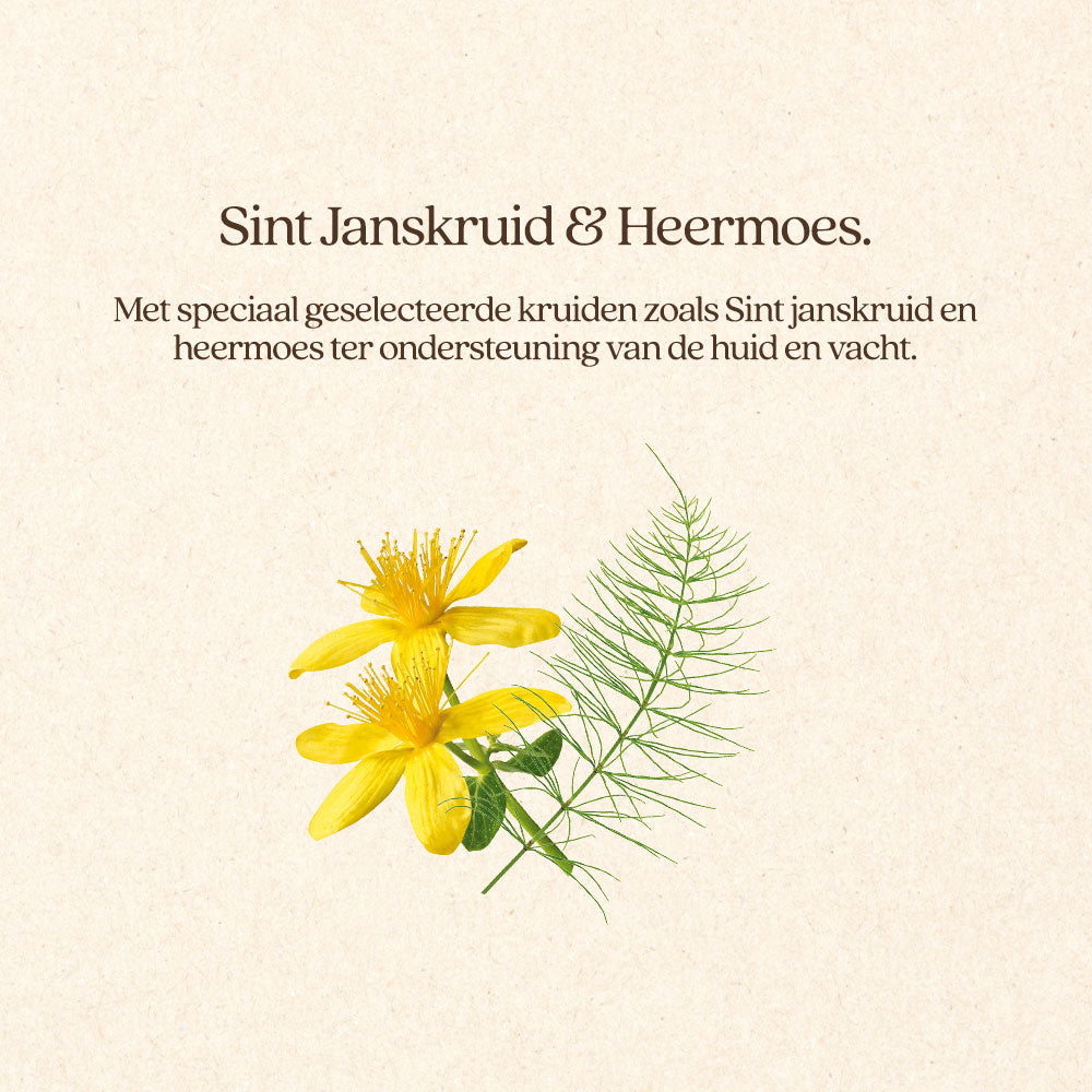 Kat Huid & Vacht Brok