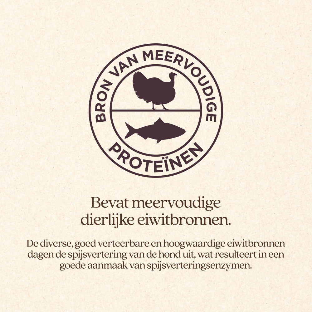 Hond Maag & Darmen Natvoer Blik