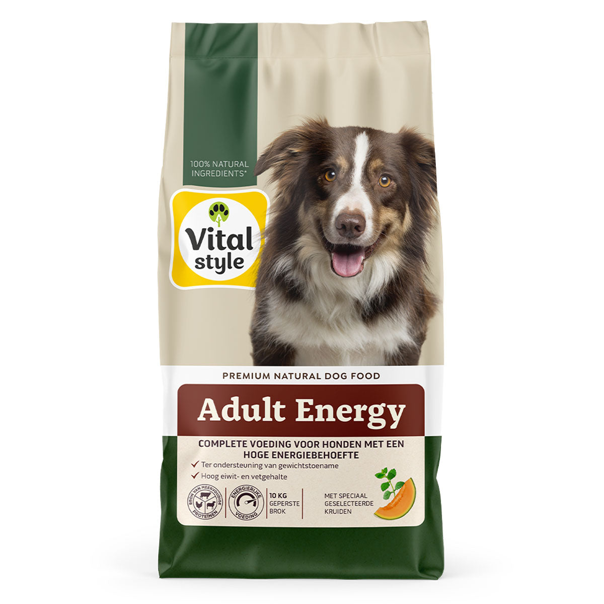 Hond Adult Energy Brok