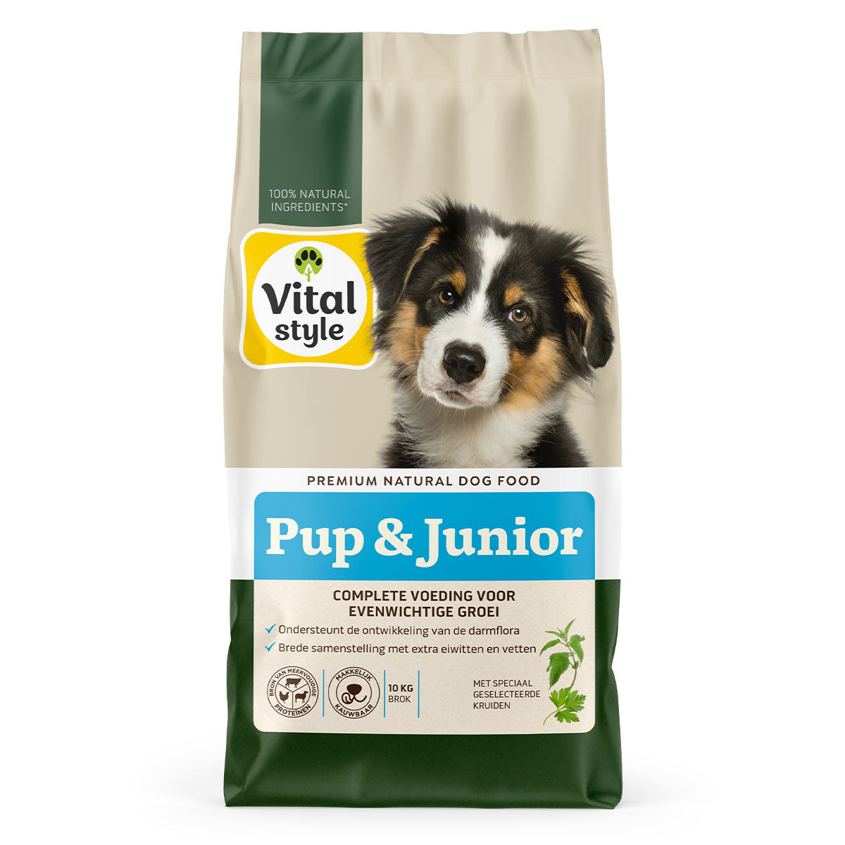 Hond Pup & Junior Brok