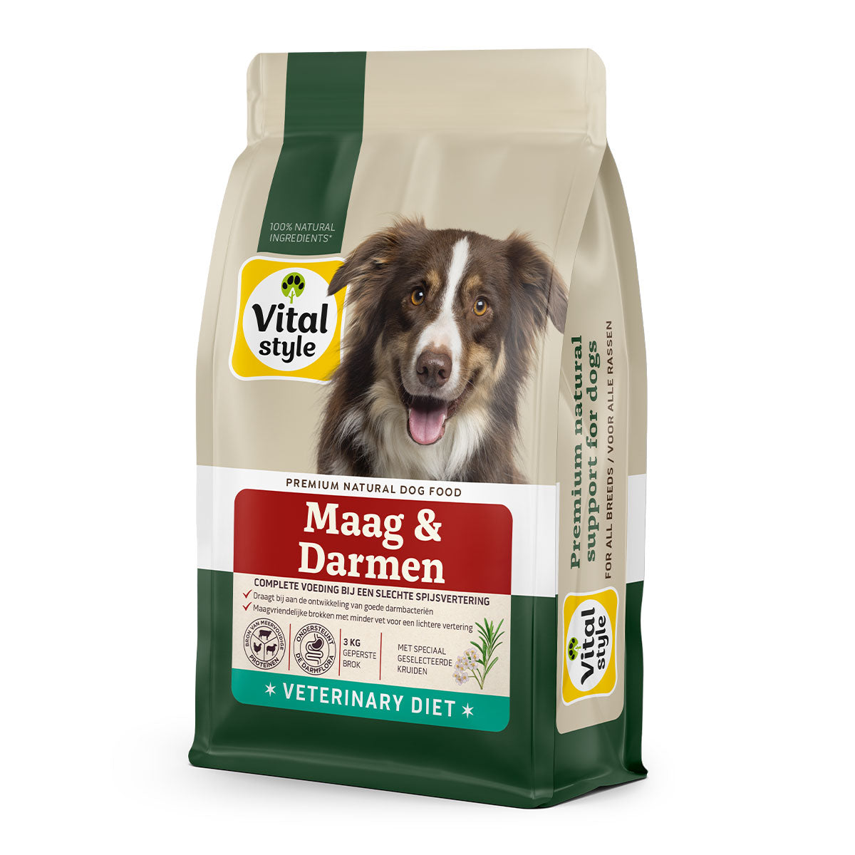 Hond Maag & Darmen Brok