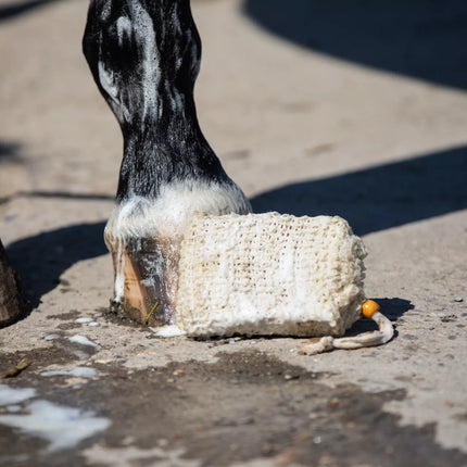 Shampoobar WashBag