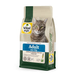 Kat Adult Met Kip Brok