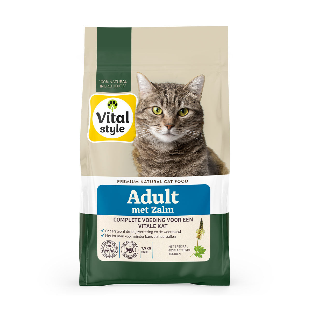 Kat Adult met Zalm Brok