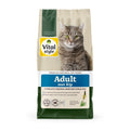 Kat Adult Met Kip Brok