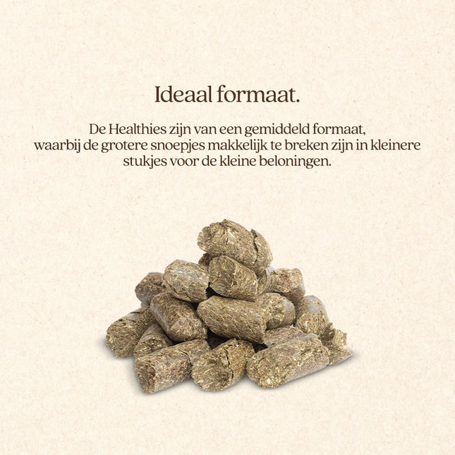 Healthies met Lijnzaad