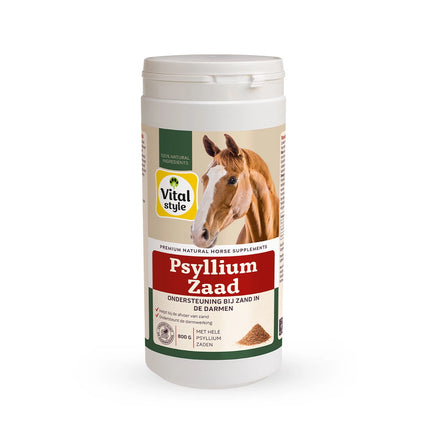 PsylliumSeed