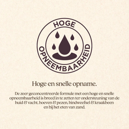 Silicium+