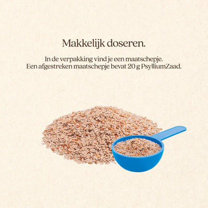 PsylliumSeed
