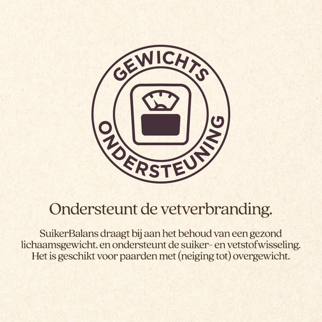 SuikerBalans VoordeelBundel