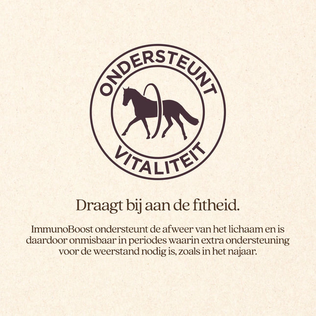ImmunoBoost VoordeelBundel
