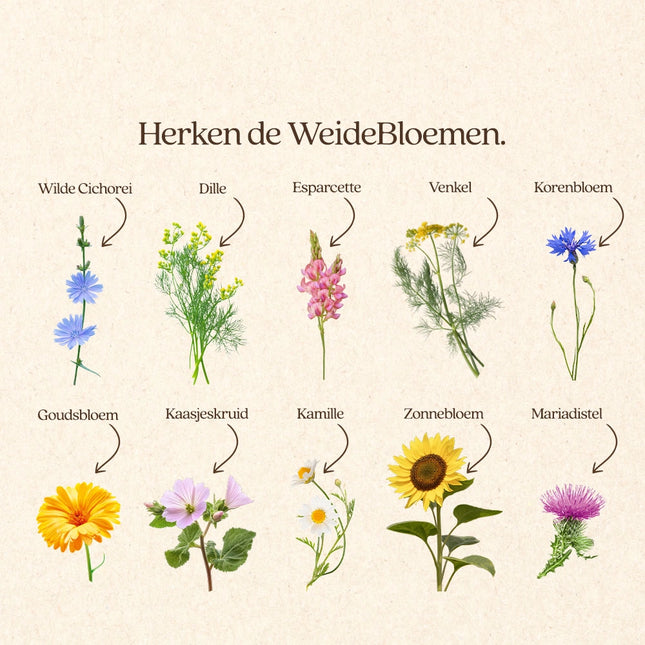 WeideBloemen