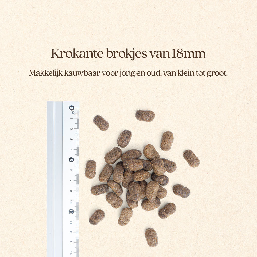 Hond Weight Control Brok